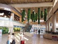 [기획] 숲 속 공항으로 변신한 김포국제공항