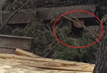 논산 탑정호 주변 불법공사 훼손 몸살… 논산시 행정 조치 문제 제기