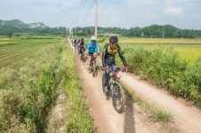 명품 숲과 해안길이 어울어진 1004섬 자전거여행 인기