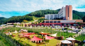 소노벨 청송, 어른이&어린이 체험 놀이 공간 플레이그라운드 인 애플팜 오픈