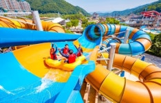워터파크 오션월드 야외 확대 운영한다… 메가슬라이드존 오픈