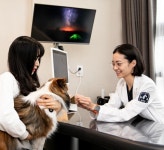 소노펫 동물병원, 반려동물 기생충 예방 캠페인 진행