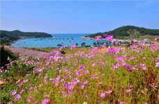 느림의 섬 청산도, 청산도에서 즐기는 청정완도 가을섬 여행 개최