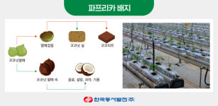 동서발전, 국내 최초 폐파프리카 배지로 바이오연료 개발