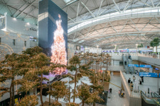인천공항, 제1여객터미널에 겨울 조명 구상나무 숲 개장