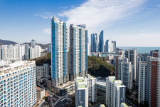 오션뷰 하이엔드 아파트 테넌바움294 샘플하우스 2일 오픈