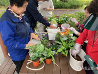 부산시설공단, 고령층 대상 모노 테라피 정원 원예 치유 프로그램 성료