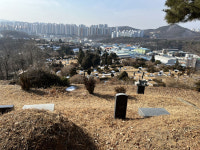 풍무동 김포공원 묘지 4,000여기 이전 사업 속도내나