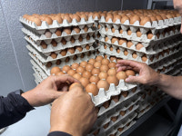 영양군, 추석 앞두고 축산물 위생·이력 관리 특별 점검 실시