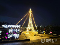 부산시설공단, 2025년 빛축제 빛의 거리 선보여