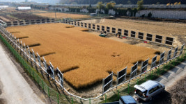 그랜드썬기술단, 국제그린에너지엑스포 참가…영농형 태양광 기술 공개