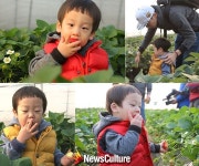 서언-서준 ‘딸기사랑’ 멈출 수 없다… ‘슈퍼맨이 돌아왔다’ 딸기 먹방 화제
