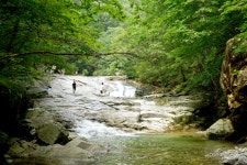 맛있는 여름휴가 포천 이동갈비바비큐축제 열려...맛집들 신나