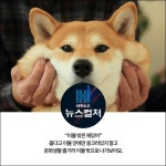 [카드뉴스] 12월을 즐겁게 할 문화생활 추천