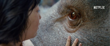 [NC 영화리뷰] 생명공학의 불편한 이중성…인간과 동물의 아름다운 공생을 꿈꾸는 ‘옥자’