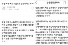 240번 버스 논란 만든 글쓴이, 해명글에 더 거센 비난 쏟아져  