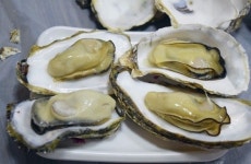 자연과 예술에 흠뻑 젖는 뮤지엄산 보러 가는 원주 여행, 미식가 사로잡는 맛집도 매력