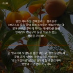 [NC 라이프] 정든오감마을, 문경곶감 생산지로 ‘관심’