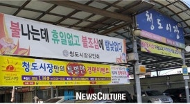 [100뉴스] 경북 청도시장, ‘제2회 경매축제’ 개최