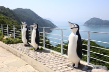 [통영 가볼 만한 곳] 가을에 여행하기 좋은 코스 TOP3