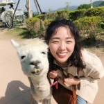[#별별샷]‘여우각시별’ 채수빈, 알파카 닮은 꼴 사진...‘비글미 가득’