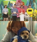 TV동물농장 다시 만나는 희망이·낑꽁이, 구조 후 되찾은 새 삶은 어떨까