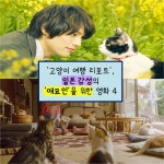 [NC기획]고양이 여행 리포트, 일본 감성의 애묘인을 위한 영화 4