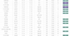 제주공항, 호우경보 발효에 국내선 운항 지연…운항정보 확인 필수