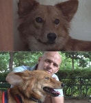 동물농장 군견 바둑이·철벽견공 바비 사연 공개