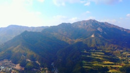 영상앨범 산 낭만의 꽃섬 자라섬에서 화사한 단풍 운악산까지 가을산행