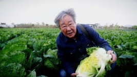 한국인의 밥상 일 년의 시간을 담는 김장 풍경 속 각별한 이야기