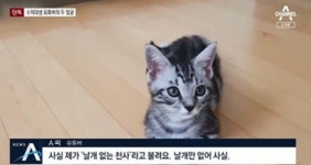 유튜버 갑수목장, 논란에 펫샵에서 산 건 맞지만 동물 학대는 아냐