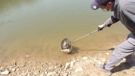 TV동물농장 3개월만에 11kg, 심술 터지는 막내 강아지