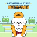 펫시터 예약 서비스 ‘도그메이트’, 부산시 서비스지역 확장