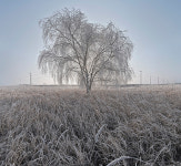 초이앤라거, 김중백·권순학 걸으면, 그것이 길이 된다 展 개최