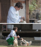 TV동물농장 토니안, 시츄 대가족 끝없는 뒷바라지에 녹초