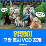 유연석X차태현 멍뭉이 15만 동원하고 안방으로