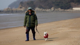 하루 5시간 연결되는 소조도犬 바다와 대조도犬 뭉치의 연애 생활(동물극장 단짝)