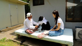 제주 청년과 고명딸犬 샌디의  푸르른 청춘 일기(동물극장 단짝)