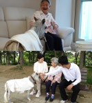 TV동물농장 60cm 미니 말 윌리, 98세 할머니와의 웃음 가득 일상