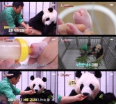 TV동물농장 다섯이 된 아이바오 패밀리, 쌍둥이 동생 탄생 이후 축 쳐진 푸바오