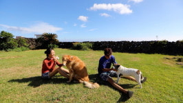 반려견 춘식·옥희·민희, 제주에서 느끼는 편안함(동물극장 단짝)