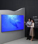 다큐 '고래와 나' 오프라인 전시...삼성전자 Neo QLED 8K로 생생한 감상