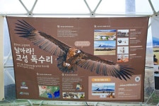 [3월 숨은 여행지] ②독수리와 친구가 되는 특별한 시간, 경남 고성독수리생태체험관