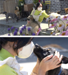 효경씨와 32마리 견공들의 특별한 동행(TV동물농장)