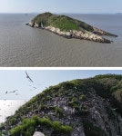 뚜이의 새끼?...앵무새 캘리의 충격적인 출생의 비밀(TV동물농장)