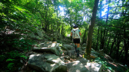 다도해를 품고 있는 용의 쉼터, 사천 와룡산