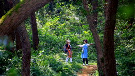 호남의 내금강 선운산도립공원, 천오백년 고찰과 고창읍성길