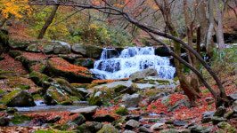 순창10경 강천산군립공원, 가을을 걷다
