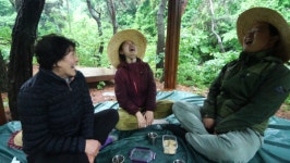 숲속 낙원부터 매운잡채·산골 가족까지...스트레스, 이렇게 풀었다(한국기행)